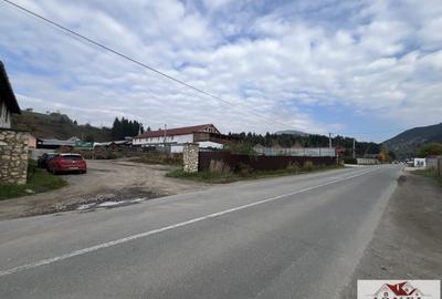 Teren Construcții intravilan de 4439 mp, în Bistra - 1