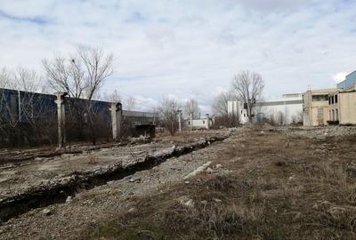Birouri, spatiu industrial, hale Zona Libera Giurgiu ID 1... - 14