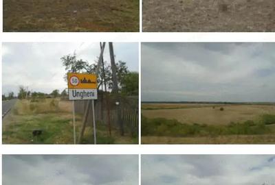 Teren extravilan 5000 mp, Com Ungheni, Jud Arges - 2