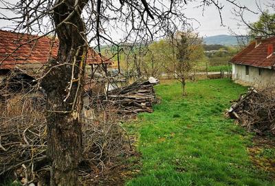 Casă cu 2 camere cu Teren 2800 Mp în Camăr - 4