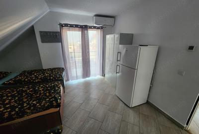 Casă cu 2 camere în Sânandrei - 2