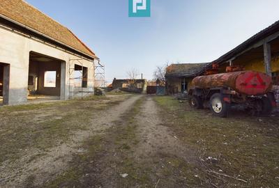 Teren și hale pe calea Aradului în Periam - 6