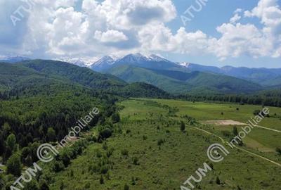 Teren de vanzare in Avrig zona Valea Avrigului 2800 mp - 3