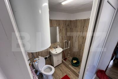 Casa renovata Varvoru de Sus, 30 mpu, 1000 mp curte. - 14