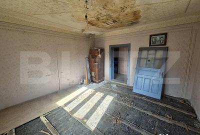 Casă cu 3 camere cu Teren 47000 Mp în Borza - 2