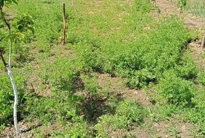 Casă în Central - 4