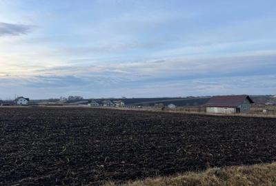 Vand teren extravilan - 6