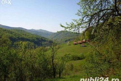 Teren de 18000 mp, în Moneasa - 6