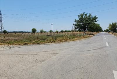 Doar 18 euro/mp, teren Industrial 10700 mp pe colț, GAZE,curent Doar 18 euro/mp, teren Industrial 10700 mp pe colț, GAZE,curent - 6