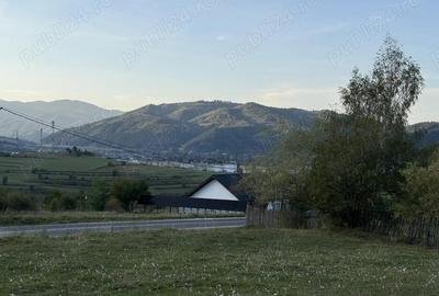 Teren intravilan 500 sau 1000 mp Bran-Tohanita la dum asfaltat - 11