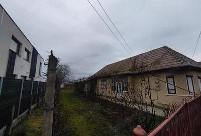 Casă cu 3 camere cu Teren 2000 Mp în Criș - 10