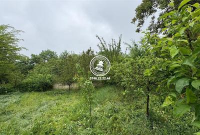 Vila de vanzare Copou - 5