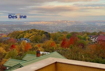 Penthouse cu 3 camere, mobilat în Bucium - 11