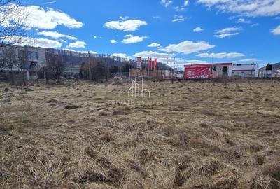 Teren Construcții intravilan de 4019 mp, în Est - 1