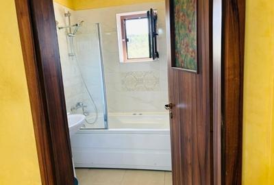 Apartament cu 2 camere decomandat, mobilat în Frumoasa - 3