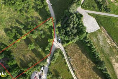 Spațiu comercial, în Sohodol - 10