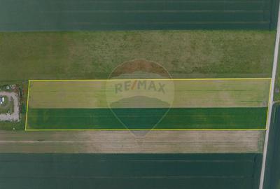 Teren 42,000mp Tarlungeni / Strada Izvor - 2