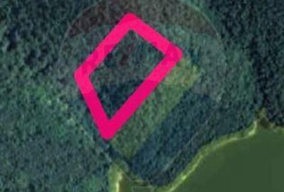 Teren forestier langa lacul Cincis, jud Hunedoara - 3