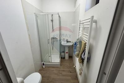 De vanzare Hala 160 m2 in localitatea Lapusel, comuna Recea, Maramures - 23