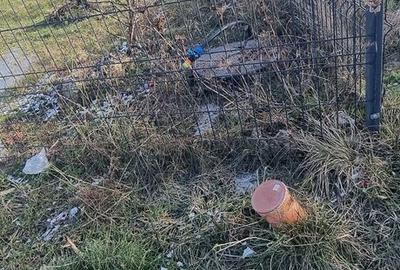 Teren de 937 mp, în Găvana - 9
