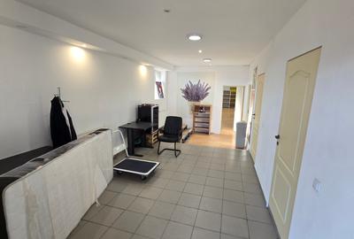 Băneasa-Jandarmeriei, sector 1, spațiu depozitare, producție, catering etc. - 12