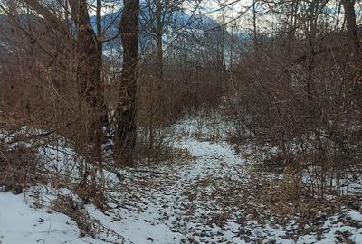 Teren intravilan la drumul na?ional comuna Hangu, Neamt, 5000mp - 7