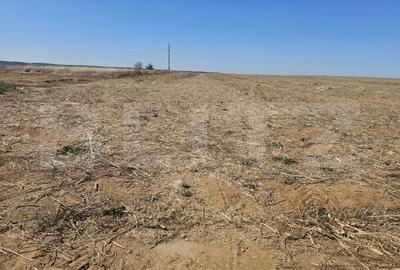 Teren Construcții intravilan de 500 mp, în Exterior Est - 2