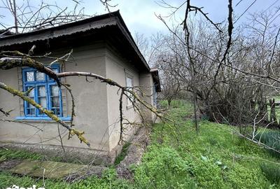 Casă cu 2 camere cu Teren 1586 Mp în Frăsinet - 3