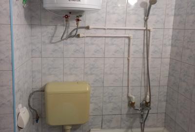 Lacul Tei,Teiul Doamnei vav Parc Tei - 11