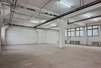 Bulevardul Timisoara, depozit 150 mp, Parter. - 3