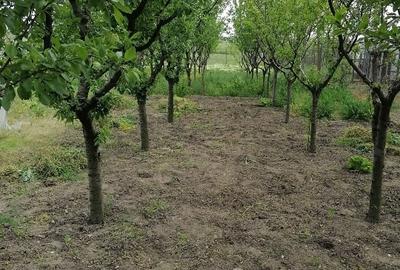 Casă individuală cu 5 camere cu Teren 2099 Mp în Păru Rotund - 13