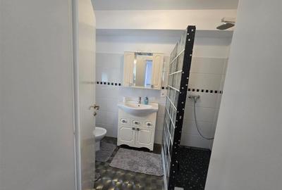 Inchiriere Vila De Lux in Tara Fagarasului Inchiriere Vila De Lux in Tara Fagarasului - 27