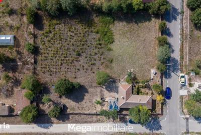 Spațiu comercial, în Potârnichea - 3