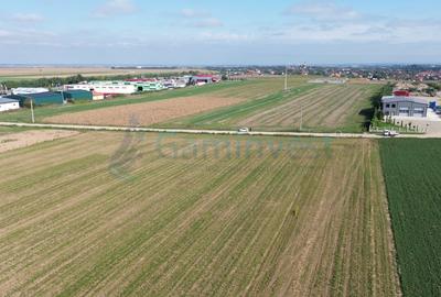 Gaminvest Teren intravilan de vanzare, 66400 mp, langa Oradea, Bihor ,V4117 - 14