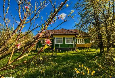 Spațiu comercial, în Suveica - 6