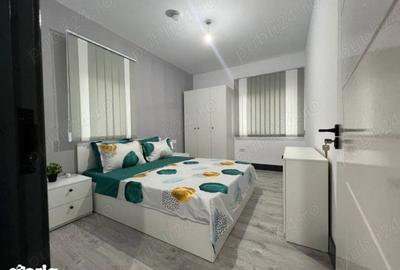 Apartament cu 2 camere decomandat în Beregsău Mare - 5
