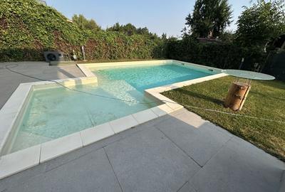 Proprietate cu piscina Dumbravita - 1