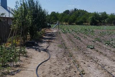 Casa la ?ara cu 5500mp teren Casa la ?ara cu 5500mp teren - 5