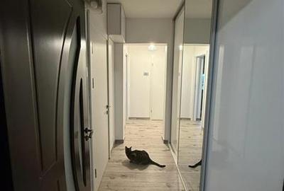 Apartament cu 3 camere decomandat în Dristor - 11