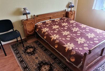 Cabana de vacanta Casoaia jud. Arad - 2