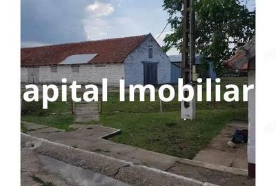 Ferma langa Oravita 5600 mp construiti si teren 24281 intravilan - 3