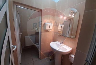 Spa?iu comercial 210mp de inchiriat in zona Ultracentral - 4