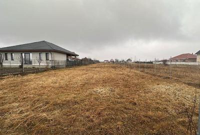 Spațiu comercial, în Dacia - 2