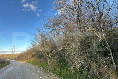 Casa batraneasca de vanzare, 48 mp, zona Patroaia Deal cu C Casa batraneasca de vanzare, 48 mp, zona Patroaia Deal cu C - 13