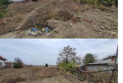 Teren Construcții intravilan de 950 mp, în Dumitrana - 1