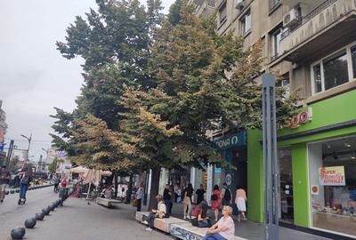 Apartament cu 2 camere semidecomandat, mobilat în Romană - 11