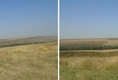 Teren de 6000 mp, în Vârlezi - 5