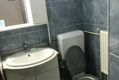 Apartament cu 3 camere decomandat în Teiul Doamnei - 13