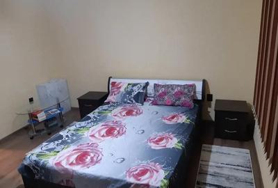 Casă cu 1 camere cu Teren 1729 Mp în Satu Nou de Jos - 1