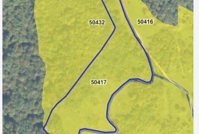 Spațiu comercial, în Central